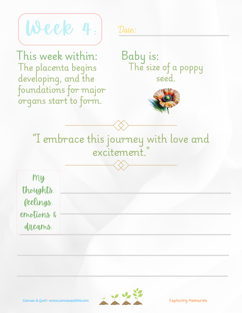 Pregnancy journal page for Week 4 with text and a floral illustration page in premium pregnancy journal.