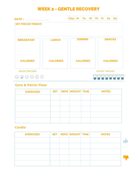 12 Week PDF Post Pregnancy Fitness Tracker