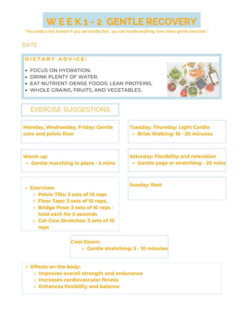 12 Week PDF Post Pregnancy Fitness Tracker