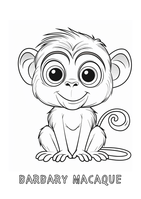 Wildlife colouring pages lion giraffe elephant PDF